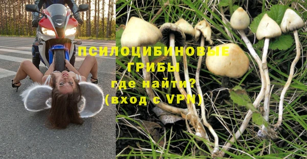 гидра Лиски