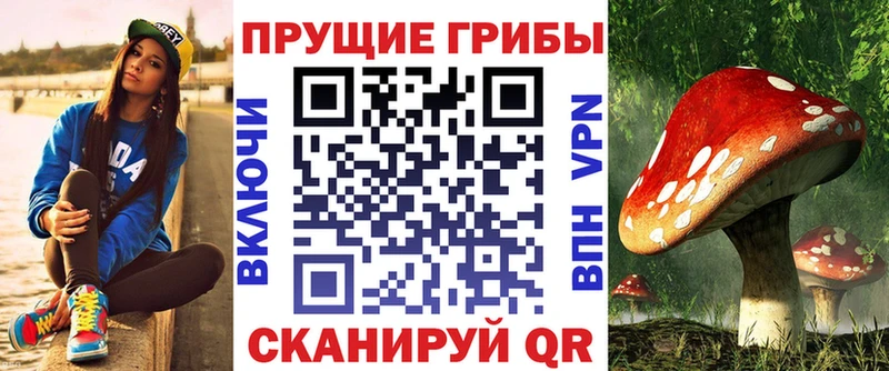 Псилоцибиновые грибы мухоморы  кракен ссылки  Суворов 